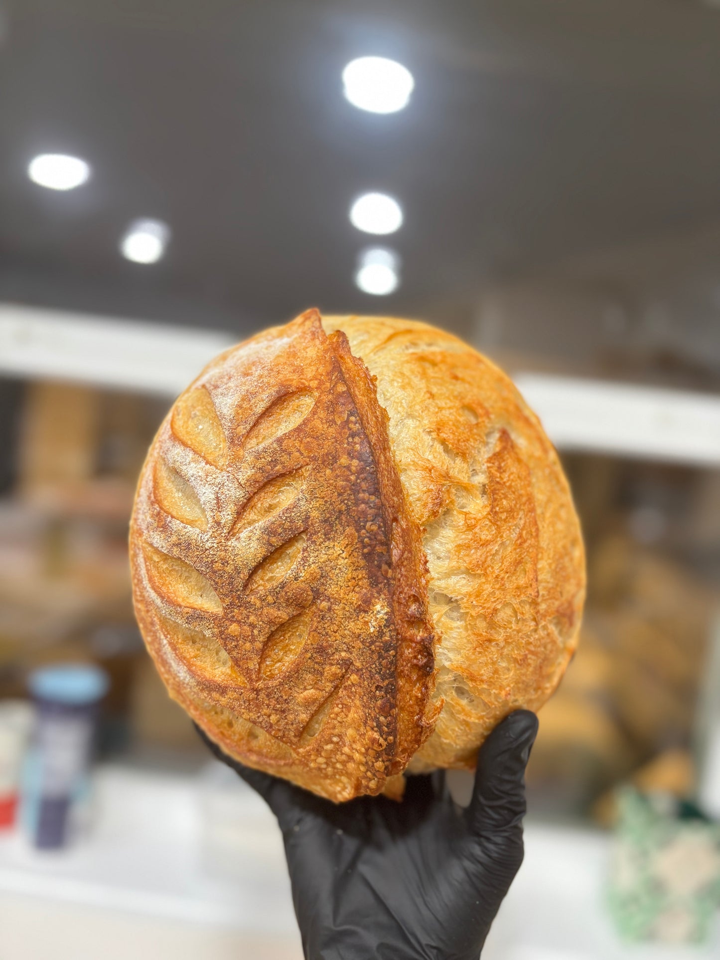 Rosemary-Thyme Loaf