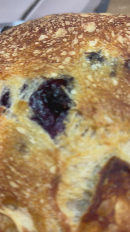 Blueberry Loaf *NEW*